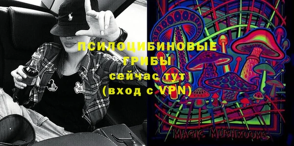 дживик Покров
