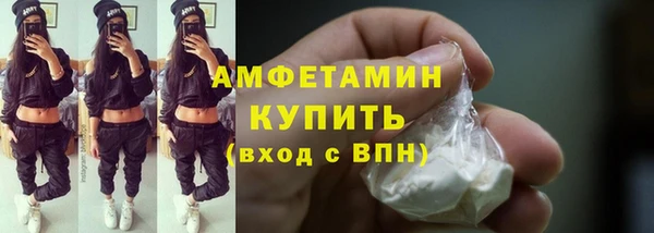 шишки Покачи