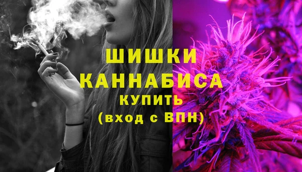 шишки Покачи