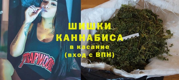 шишки Покачи