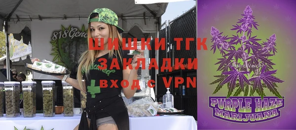 дживик Покров