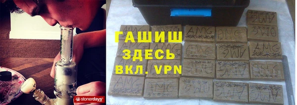 шишки Покачи