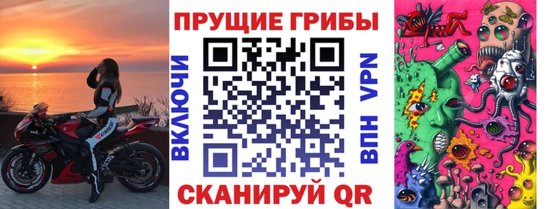 Псилоцибиновые грибы MAGIC MUSHROOMS  купить закладку  Кизилюрт 